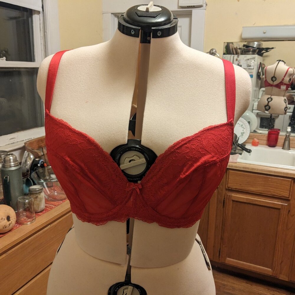 Panache Ana Non-Padded Plunge Underwire Bra in Salsa Red